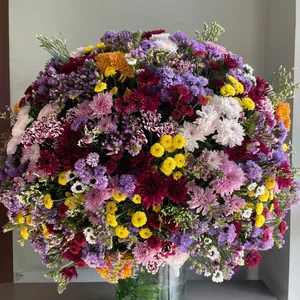 Chrysanthemum Throne